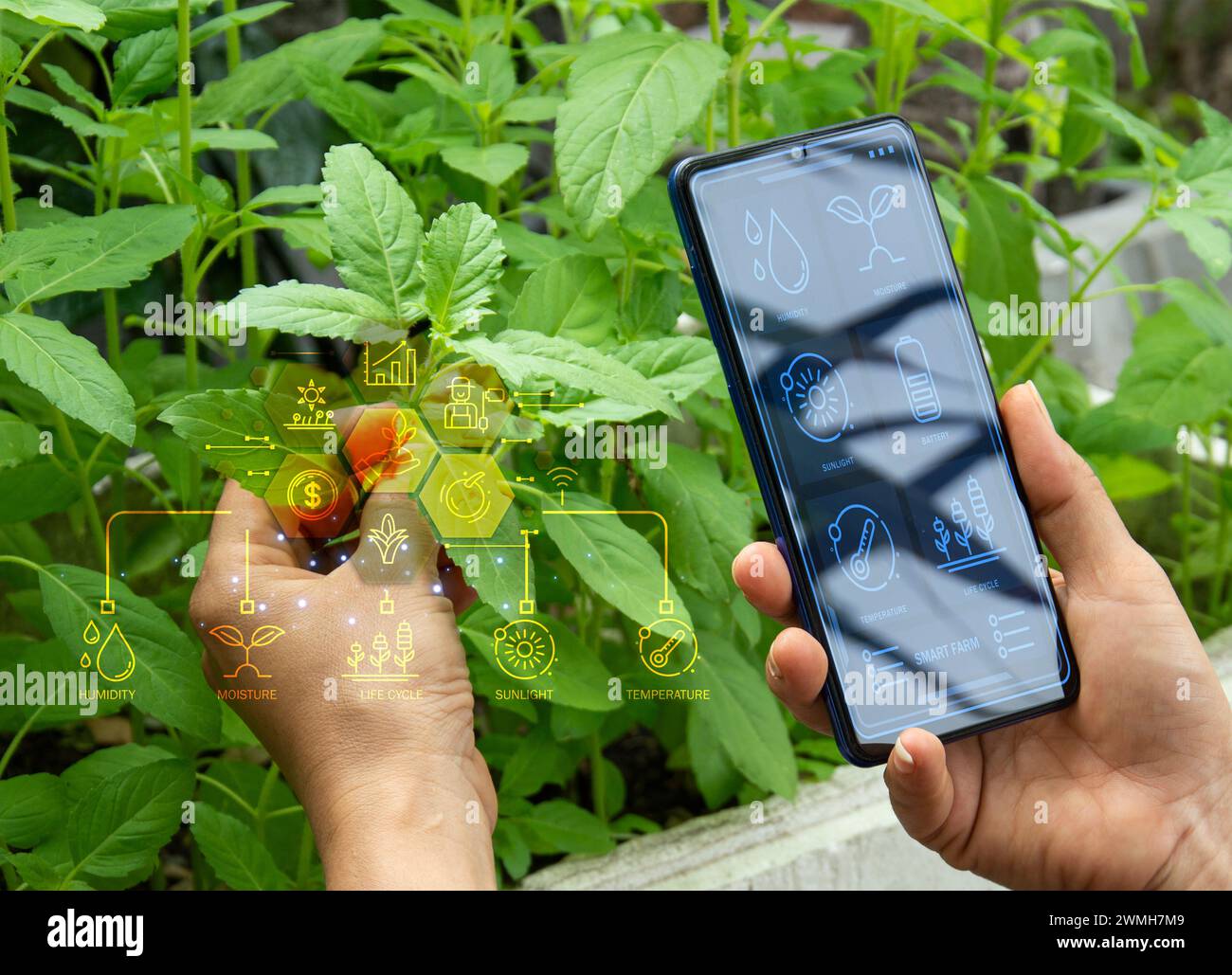 Farmimg Using Software The concept of using AI and smart farming Stock Photo - Alamy