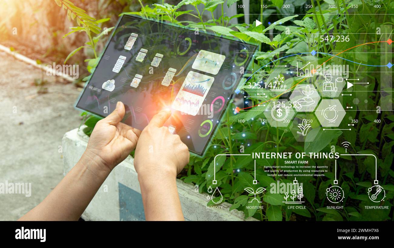 Farmimg Using Software The concept of using AI and smart farming Stock Photo - Alamy