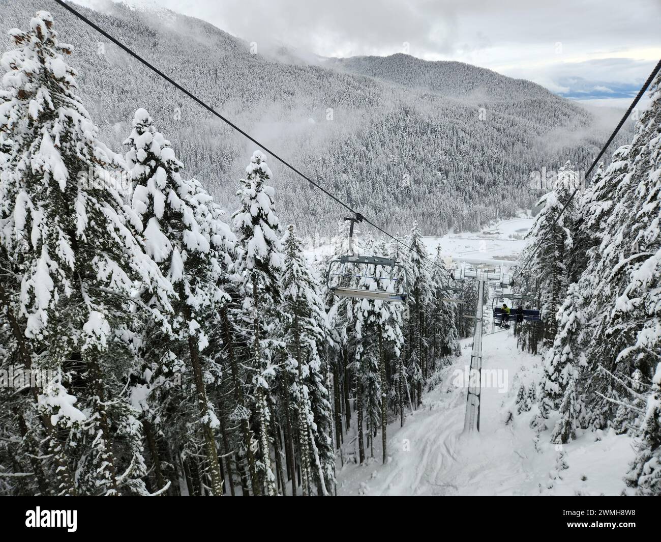 Skiers on ski lift over snowy pine forest Stock Photo