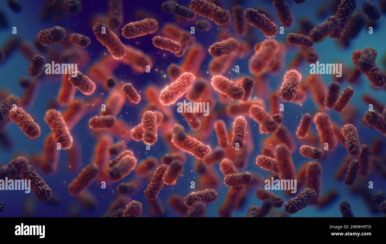 Drug resistant bacteria. Red pathogenic bacteria on dark background. Decreased immunity and bacterial superinfection is caused by antibiotic use. Stock Photo