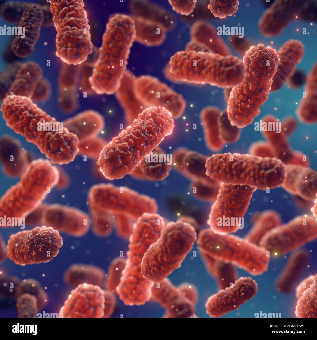 Antibiotic use is leading to decreased immunity and bacterial superinfection. Drug resistant bacteria. Red pathogenic bacteria on dark background Stock Photo