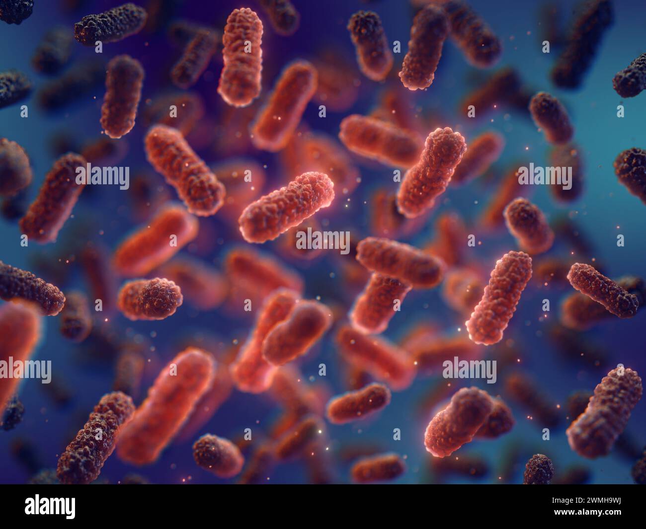 Antibiotic use is leading to decreased immunity and bacterial co-infection. Red pathogenic bacteria on dark background. Drug resistant bacteria Stock Photo