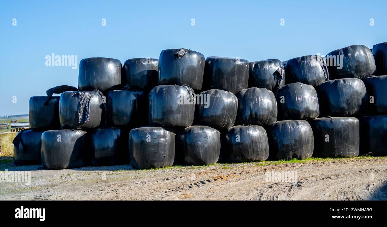 Large pile of black plastic packages of hay Stock Photo