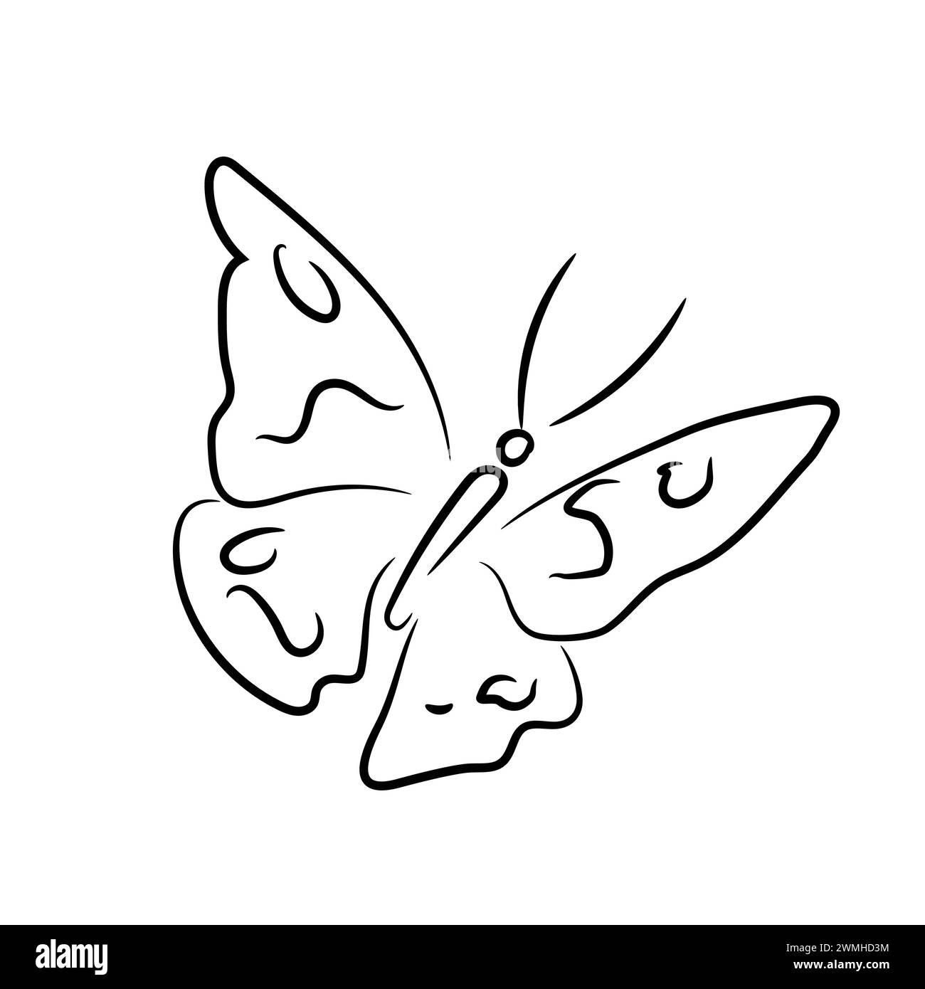 Beautiful butterfly black outline spread wings stock vector image