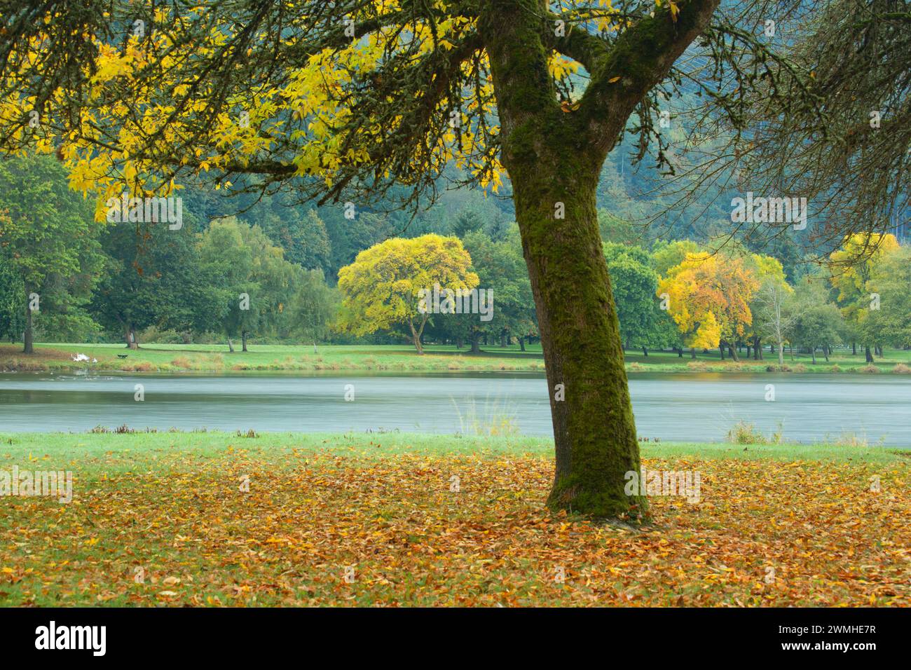 Nuclear ash fall hi-res stock photography and images - Alamy