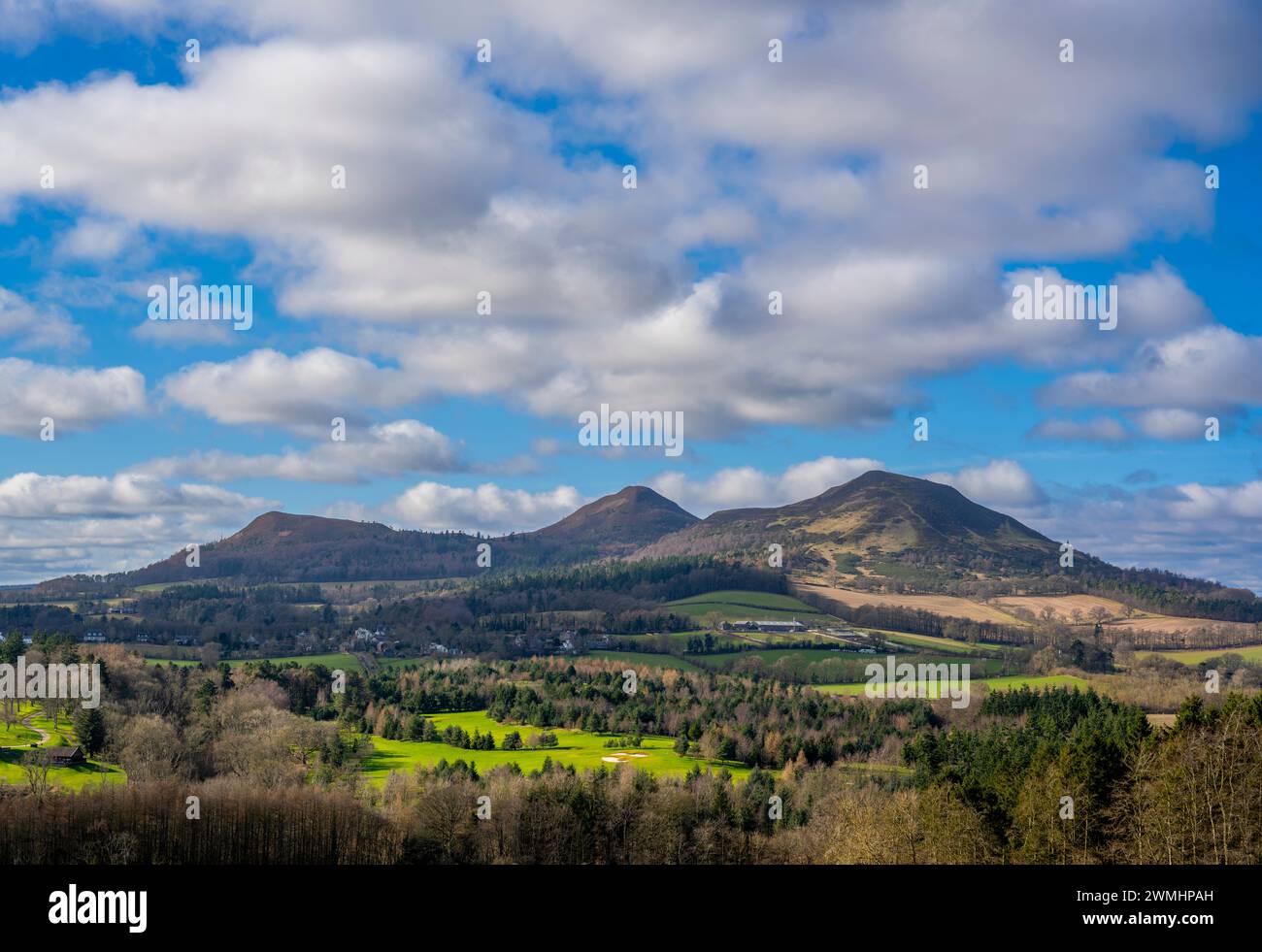 Weather, UK. 26th Feb, 2024. A view looking onto the Eildon Hills, a landmark of the Scottish Borders, near Melrose. Spring sunshine and blue a blue sky and fluffy clouds create a lovely scene of the popular view. Picture Credit: phil wilkinson/Alamy Live News Stock Photo