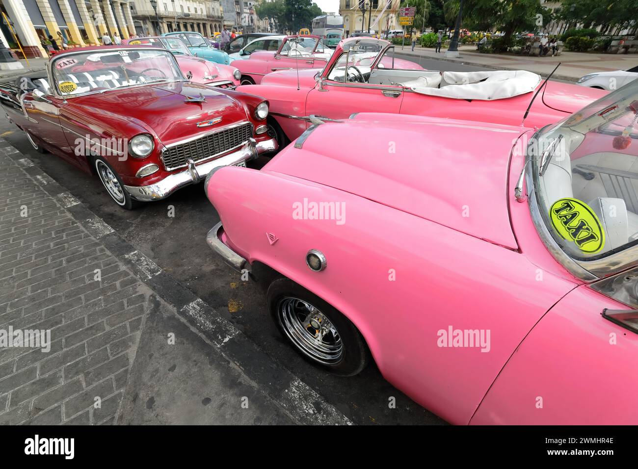 019 Mess old pink and red American classic cars -almendron, yank tank Mercury-Chevrolet- from 1952-53-55 parked on the Paseo del Prado. Havana-Cuba. Stock Photo