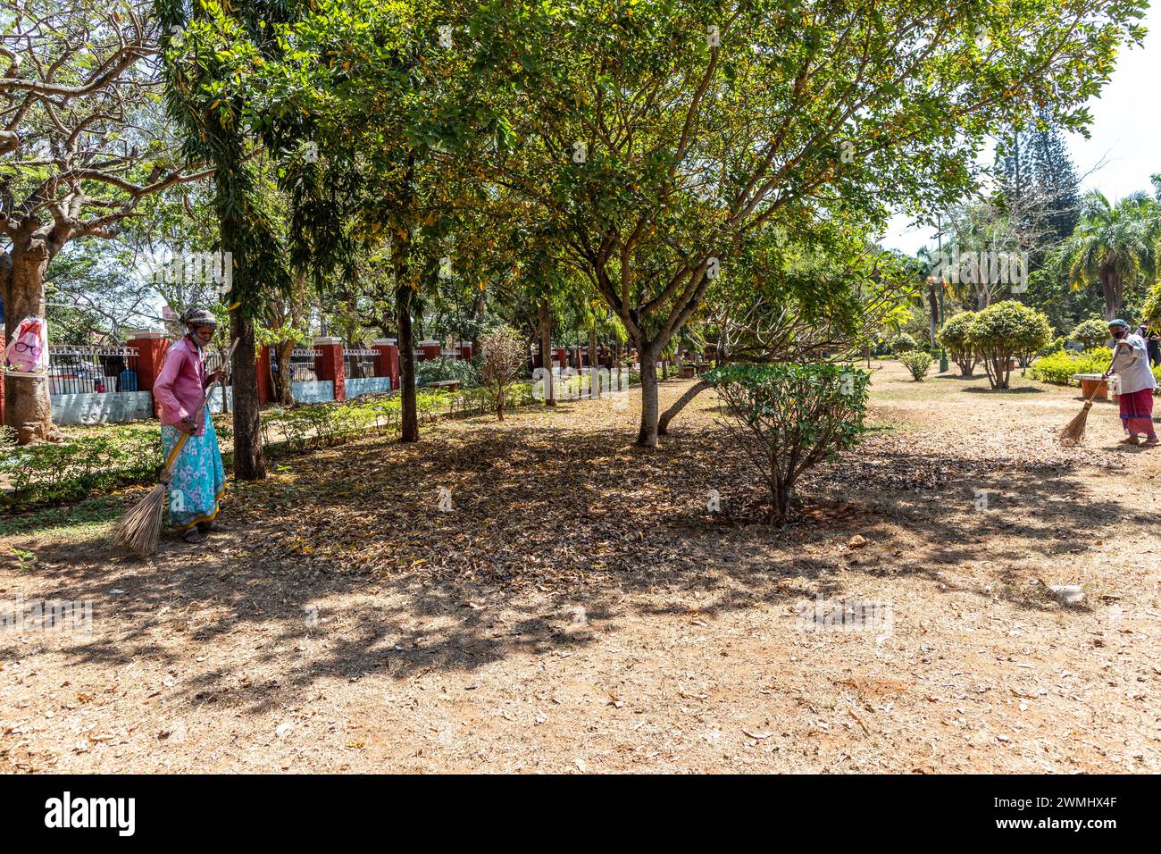 Javaregowda Park Mysore Karnataka India Stock Photo - Alamy