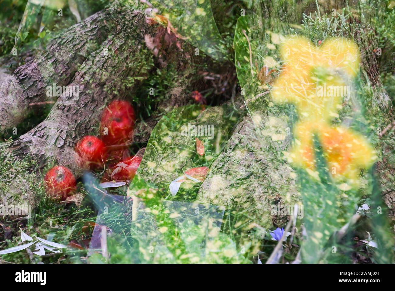 Multiple exposure technique hi-res stock photography and images - Alamy