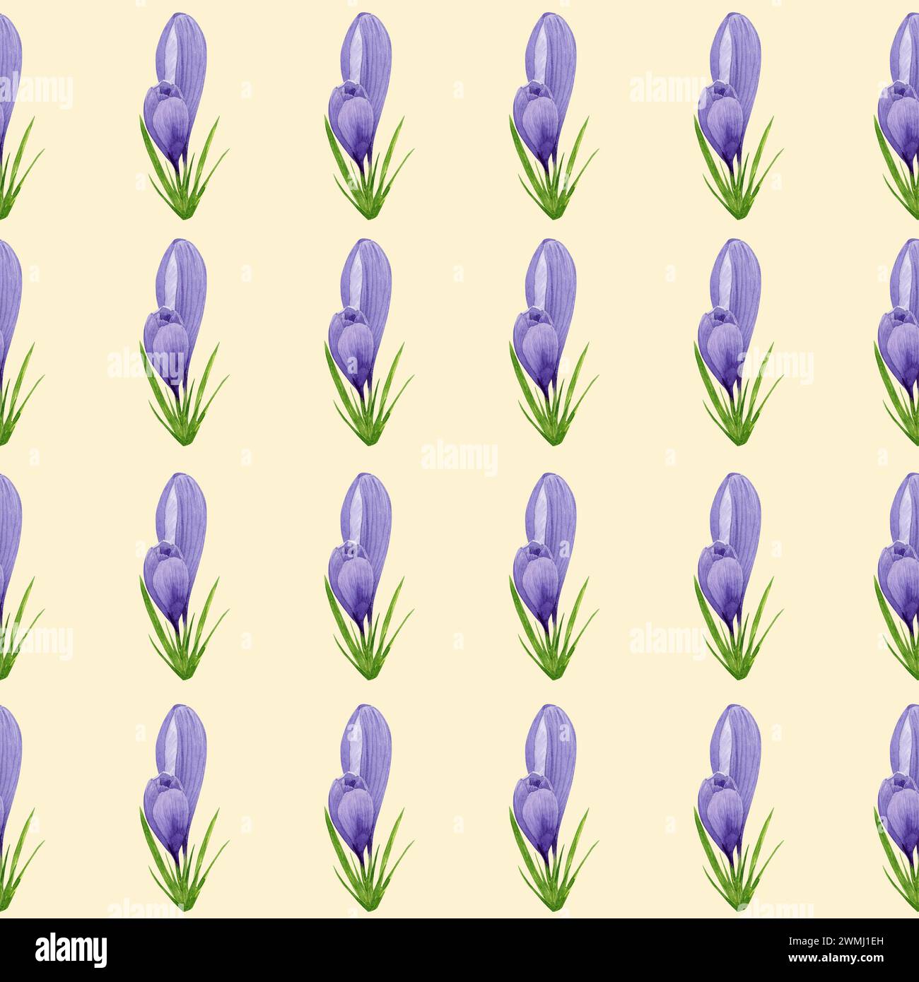 Watercolor purple crocuses seamless pattern, spring flower digital ...