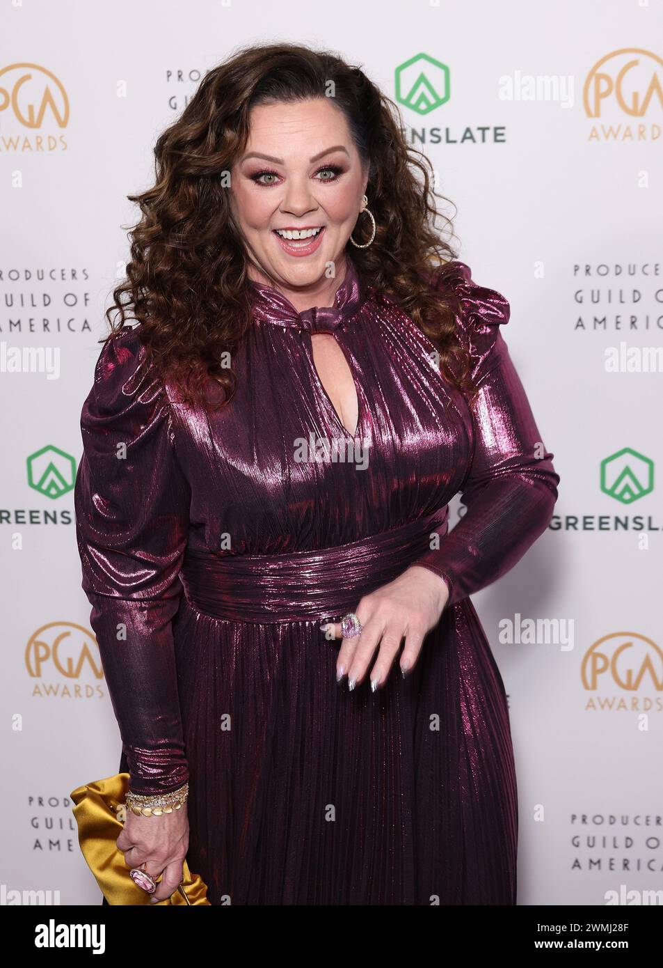 Hollywood, USA. 25th Feb, 2025. Melissa McCarthy attends the 35th