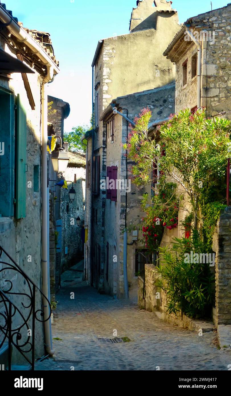 A Stone building with plants growing on walls in an alleyway, Walkway, Viviers, France Stock Photo