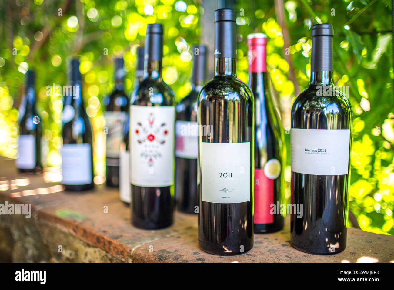 connoisseur-of-wines-hi-res-stock-photography-and-images-alamy