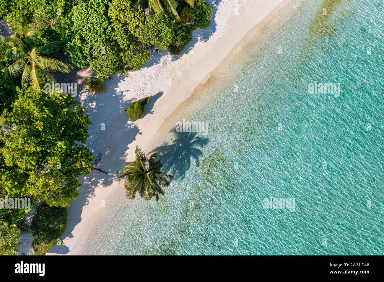 Amazing island beach. Maldives from aerial view tranquil tropical landscape seaside with palm trees on white sandy beach. Exotic nature shore, luxury Stock Photo