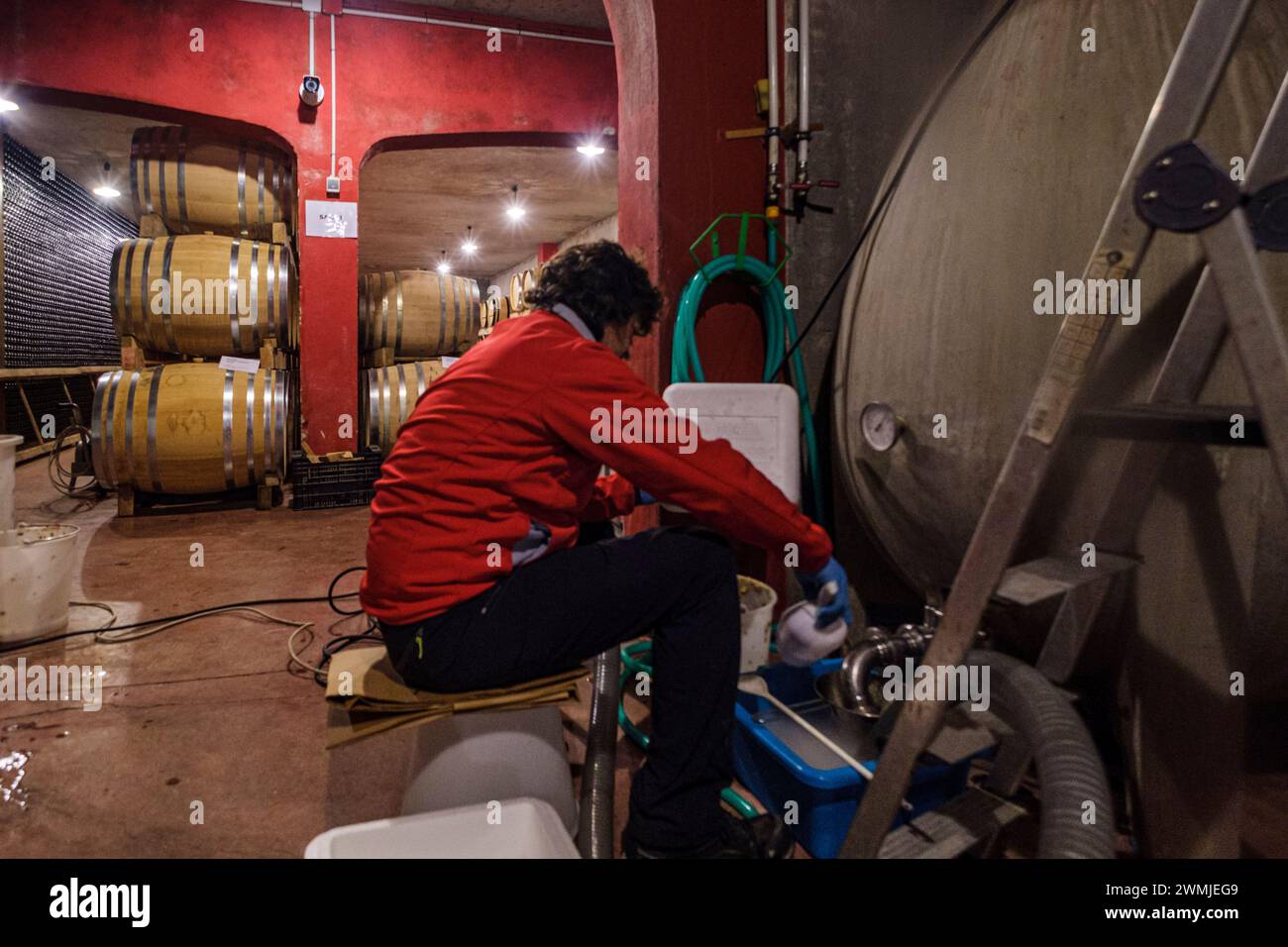 Macià Batle wineries, barrels of aging, Santa Maria del Cami, Mallorca, Balearic Islands, Spain Stock Photo