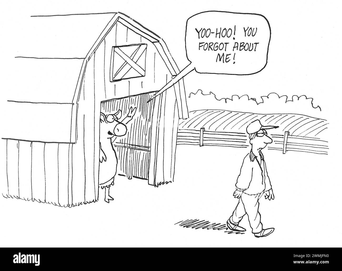 BW cartoon of a farmer who forgot to milk one of the cows. Stock Photo