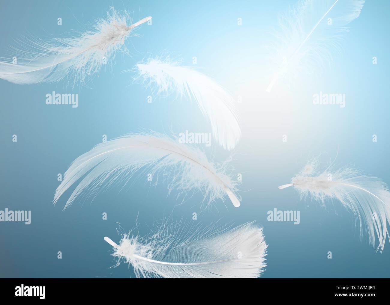 Fluffy bird feathers falling on light blue background Stock Photo - Alamy