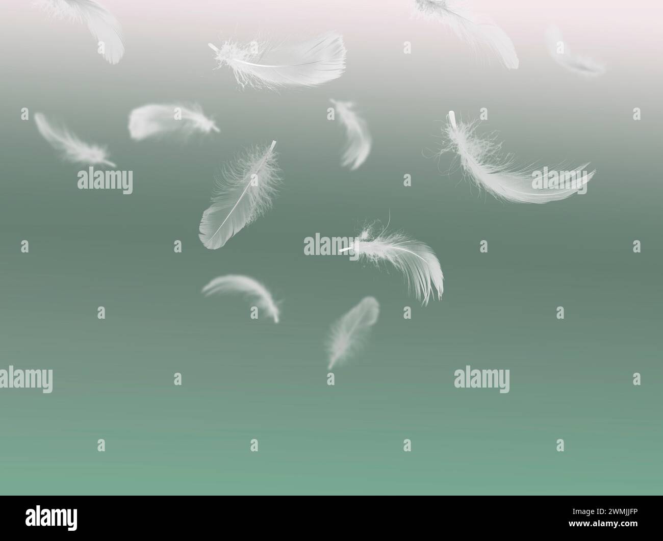 Fluffy bird feathers falling on green background Stock Photo - Alamy