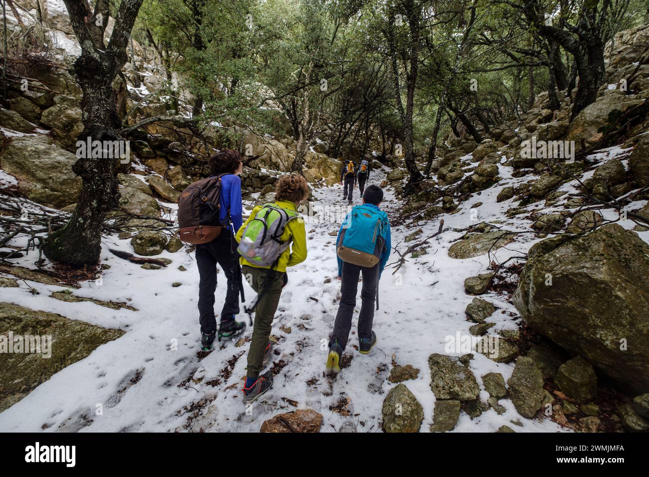 hikers in the Son Palou forest, Orient valley, Bunyola, Mallorca, Balearic Islands, Spain Stock Photo