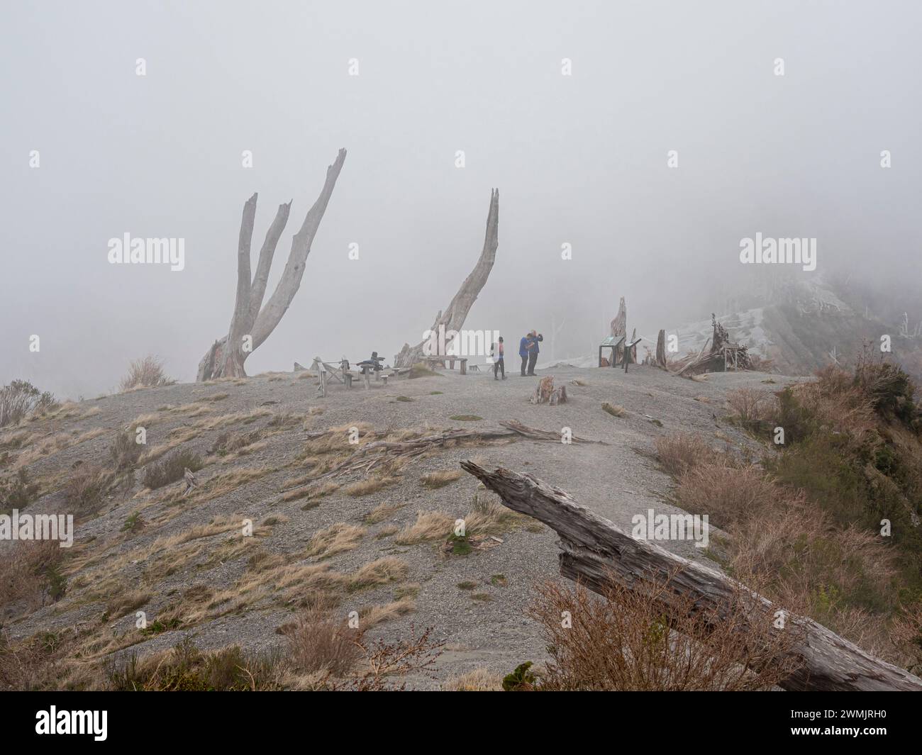Dead Volcano Rim Viewpoint at rim of volcano Chaiten, dead trees, foggy day, Los Lagos ...