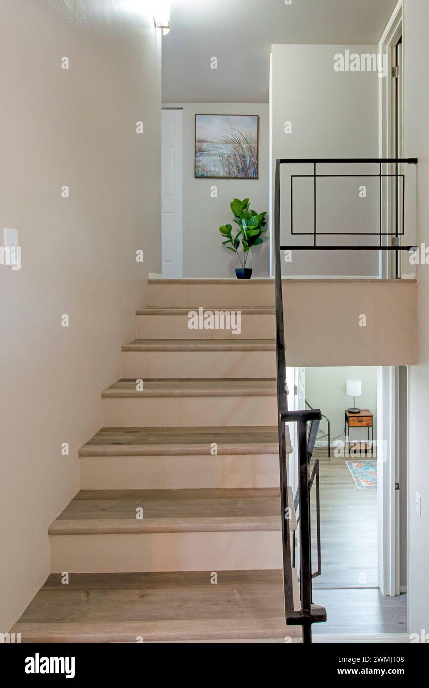Photo inspiration: Picture Idea: Window Interior Design Upscale Modern Hi Res Stock Photography And