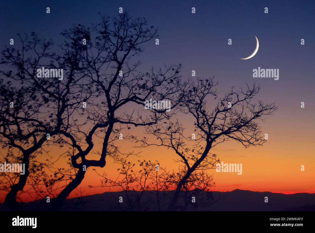 Crescent moon rises over the mountains at sunset Stock Photo