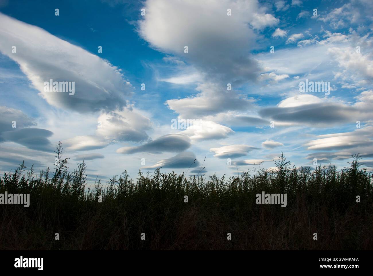 Lenticular clouds over forest and treetops Stock Photo