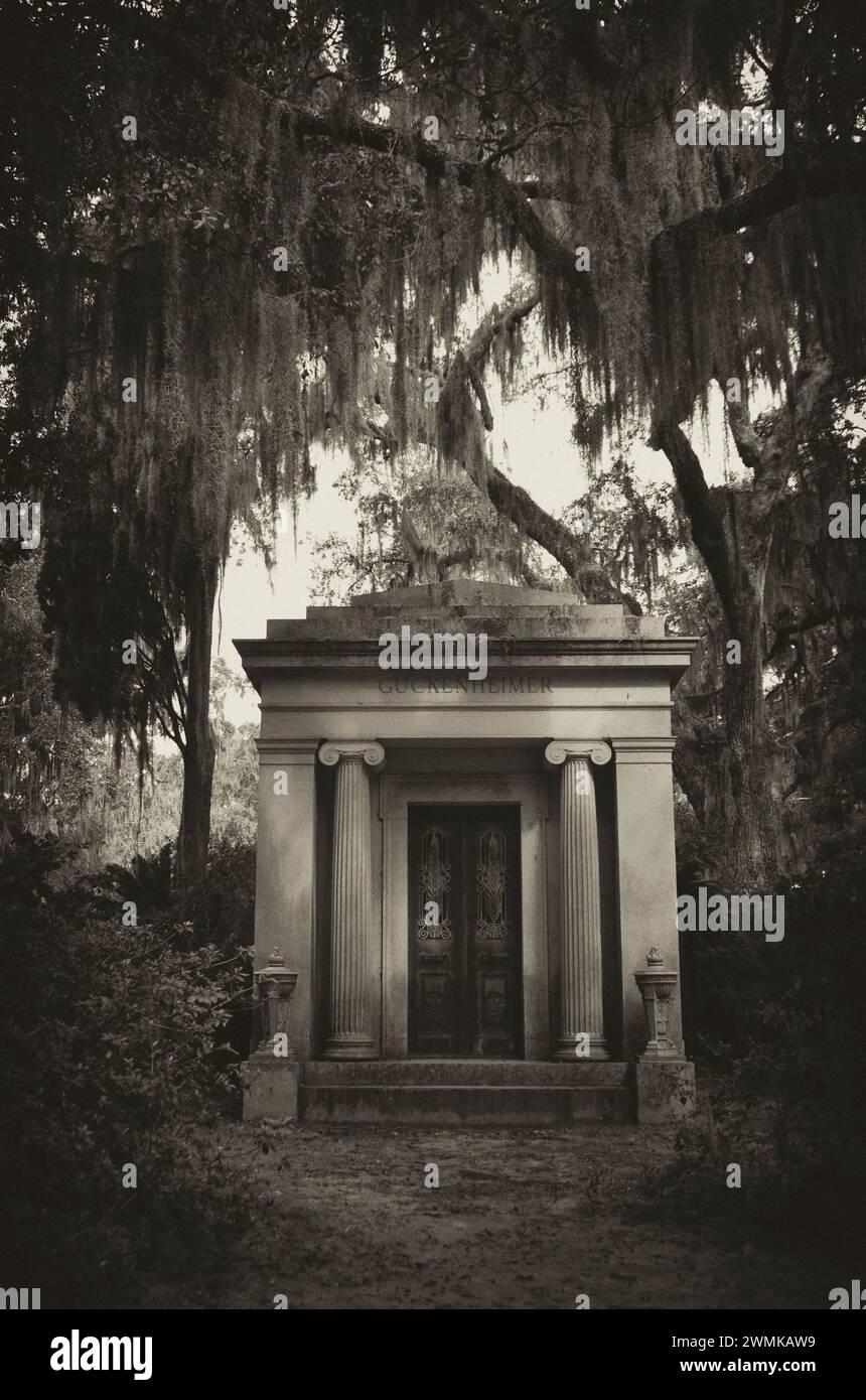 Black and white image of spanish moss hanging over a mausoleum Stock Photo