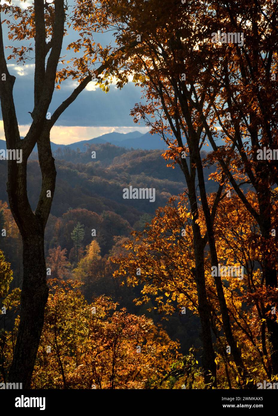 Fall colors in the Blue Ridge Mountains; United States of America Stock Photo