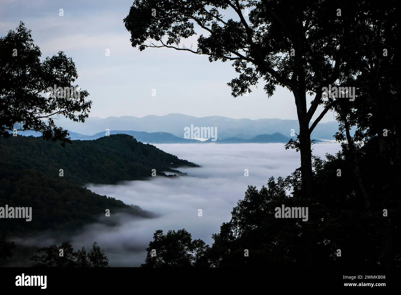 Morning view of clouds in the Reems Creek valley and a distant view of
