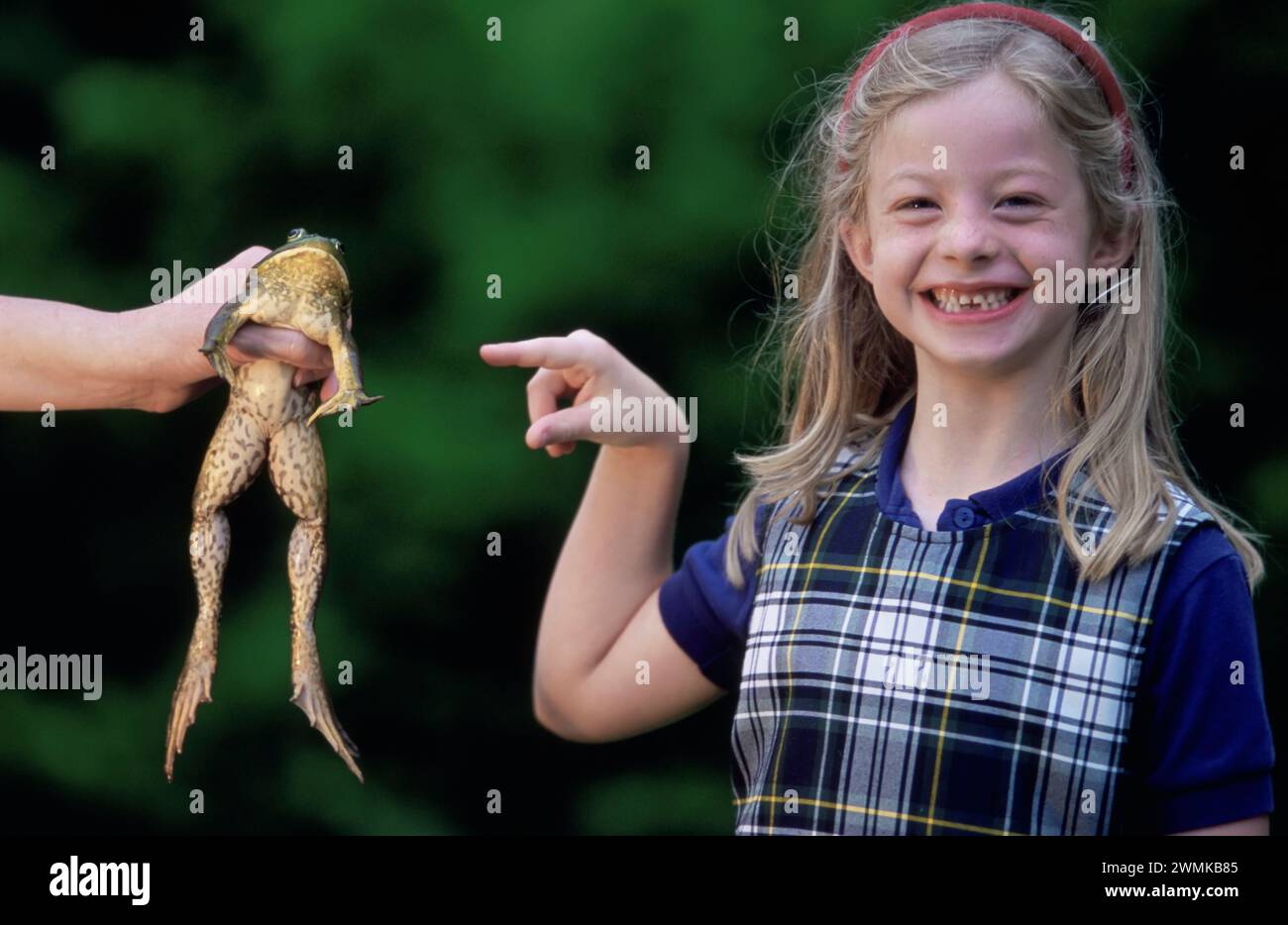Young girl points to a frog being held by someone off camera; Lincoln, Nebraska, United States of America Stock Photo