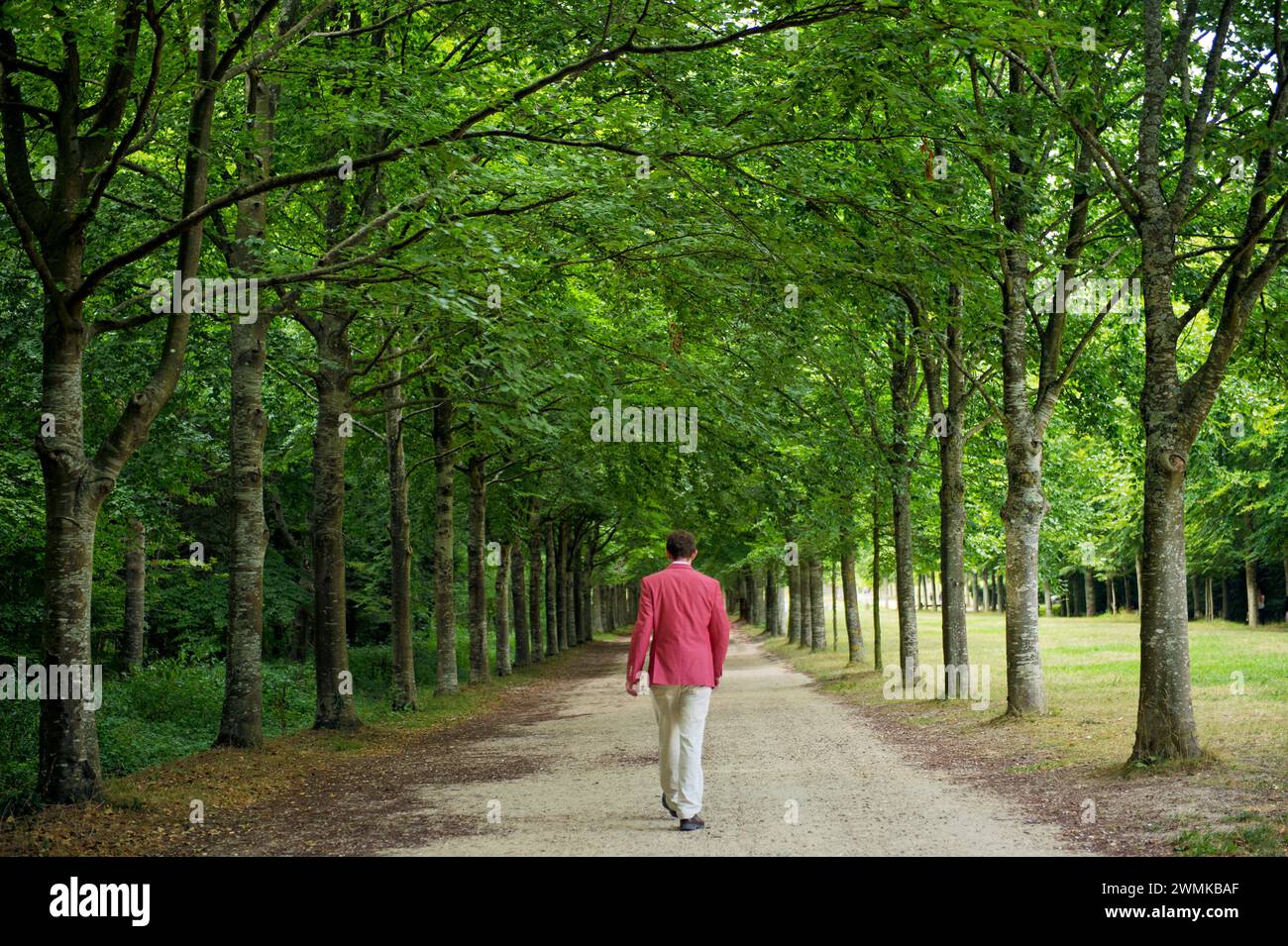Man walks down a path shaded by trees in Versailles, France; Versailles, France Stock Photo