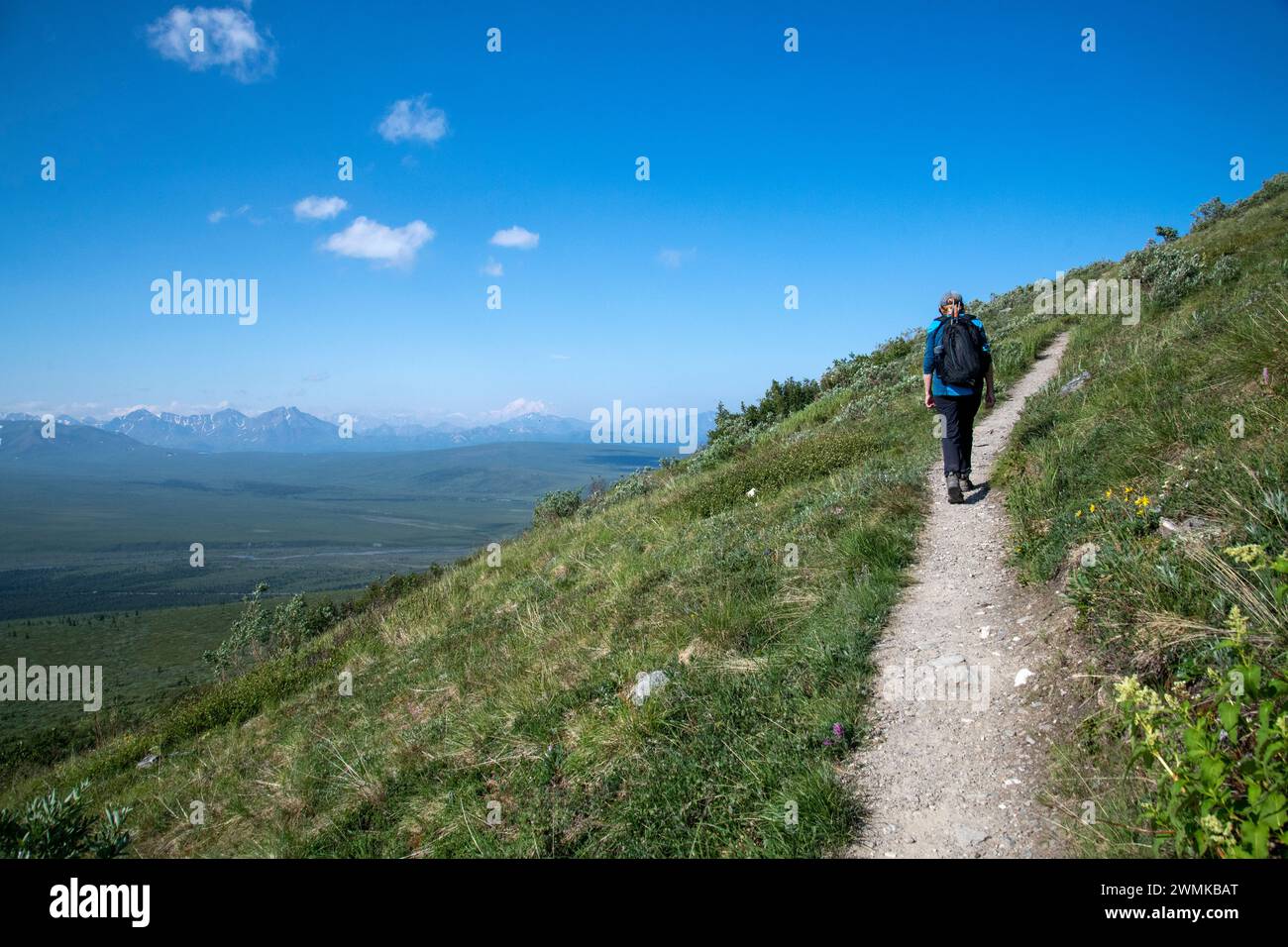 Mature woman hiking on trail hi-res stock photography and images - Alamy