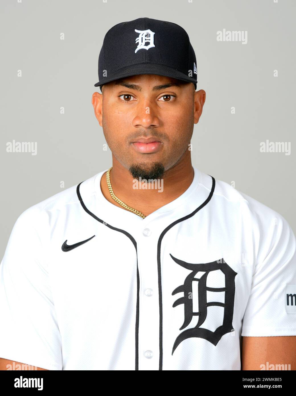 This is a 2024 photo of Andy Ibanez of the Detroit Tigers MLB baseball