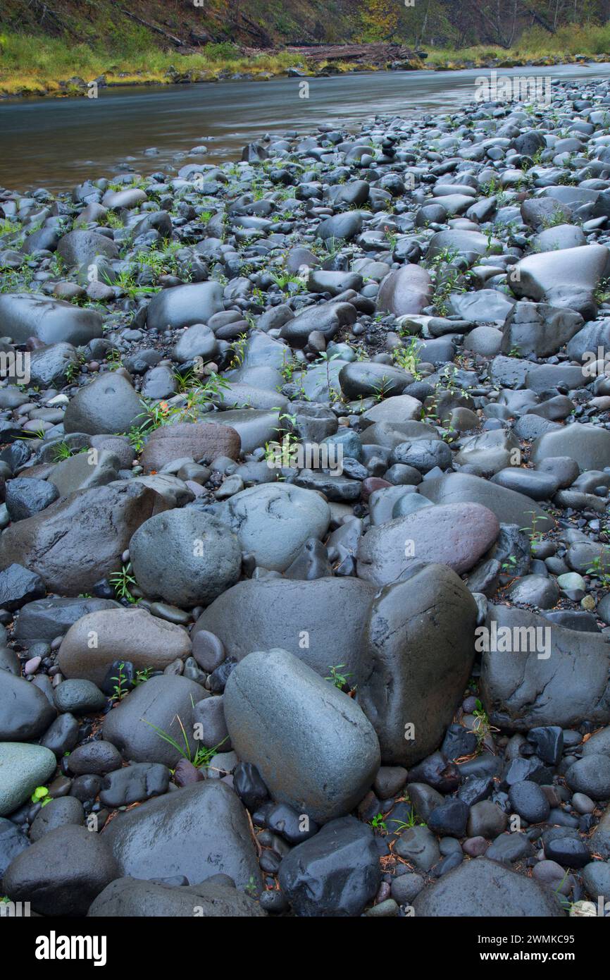 Gravel bar along Clackamas Wild and Scenic River at Lazy Bend Campground, West Cascades Scenic