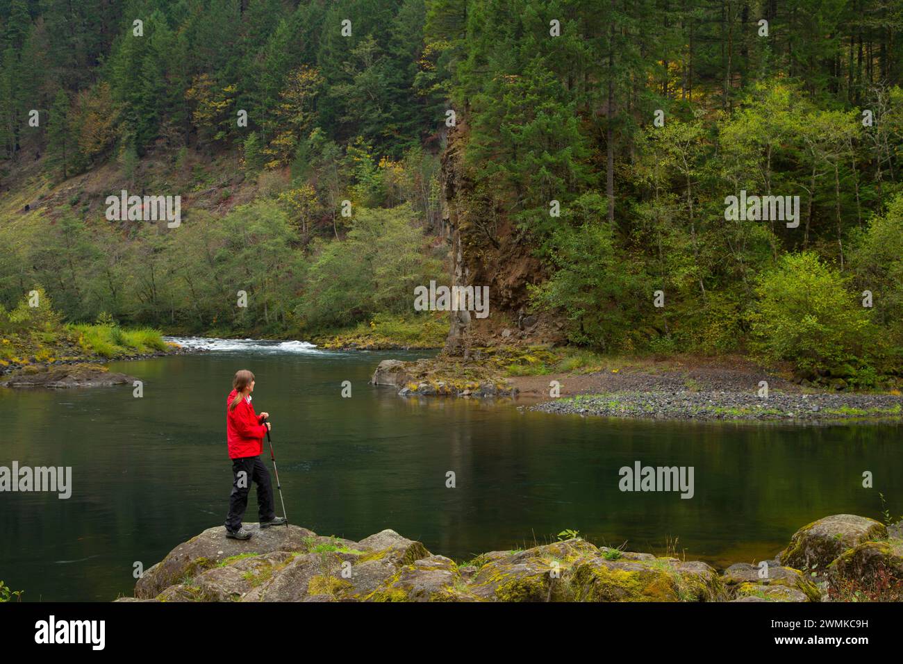 Clackamas Wild and Scenic River at Big Eddy, West Cascades Scenic Byway ...