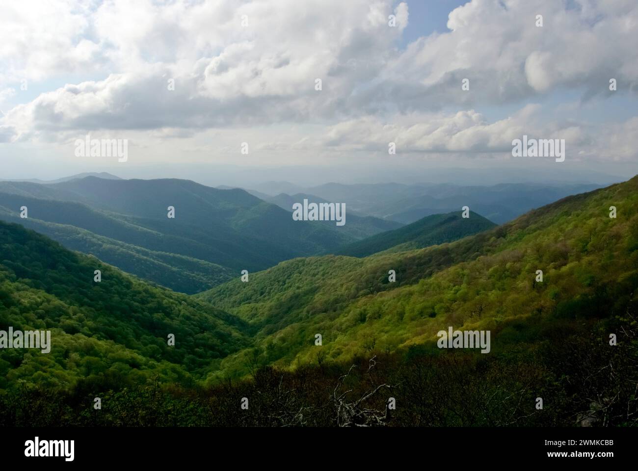 Stunning mountain vista, viewed from the ranger stations at Craggy Pinnacle in the Blue Ridge