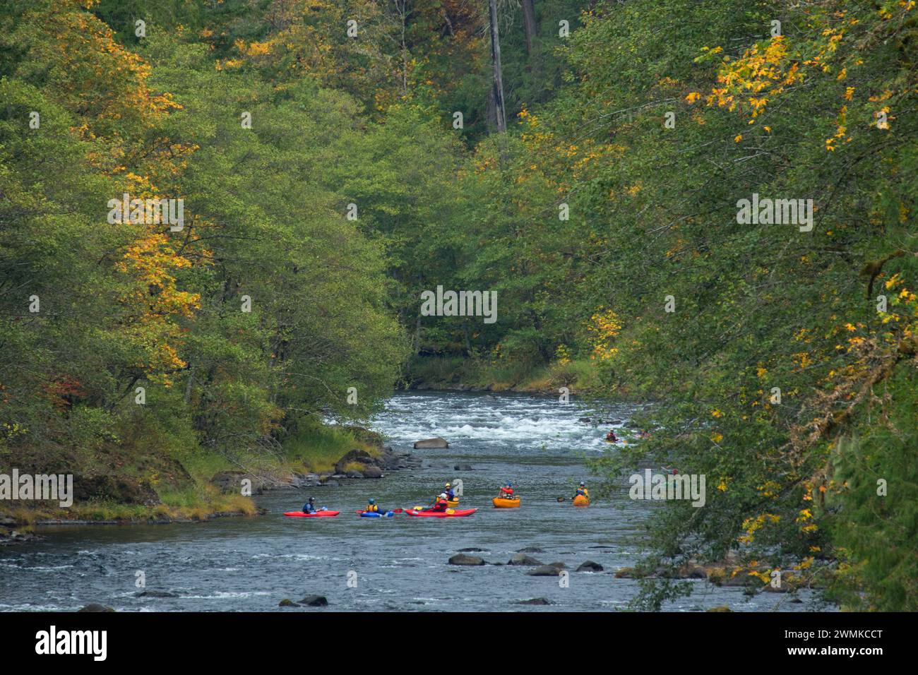 Kayaking in Clackamas Wild and Scenic River, West Cascades Scenic Byway