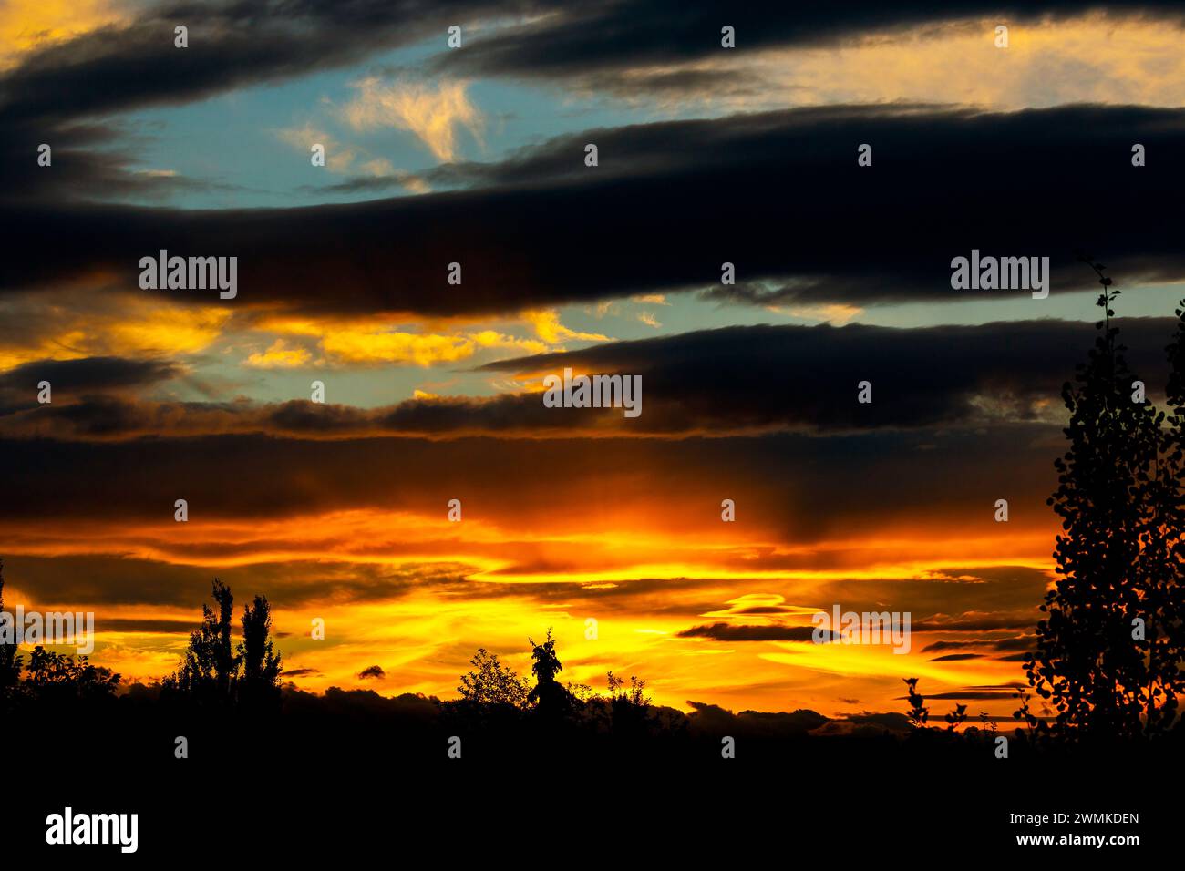 Dramatic warm glowing colourful sky with dark clouds and trees in the foreground; Calgary, Alberta, Canada Stock Photo