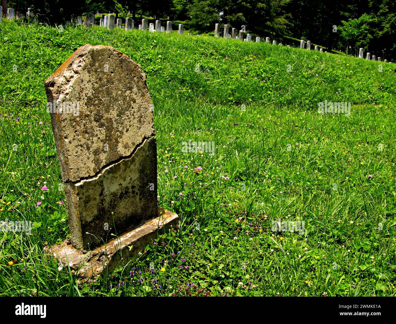 Old tombstone cracked in half, standing apart from others on a grassy hillside Stock Photo