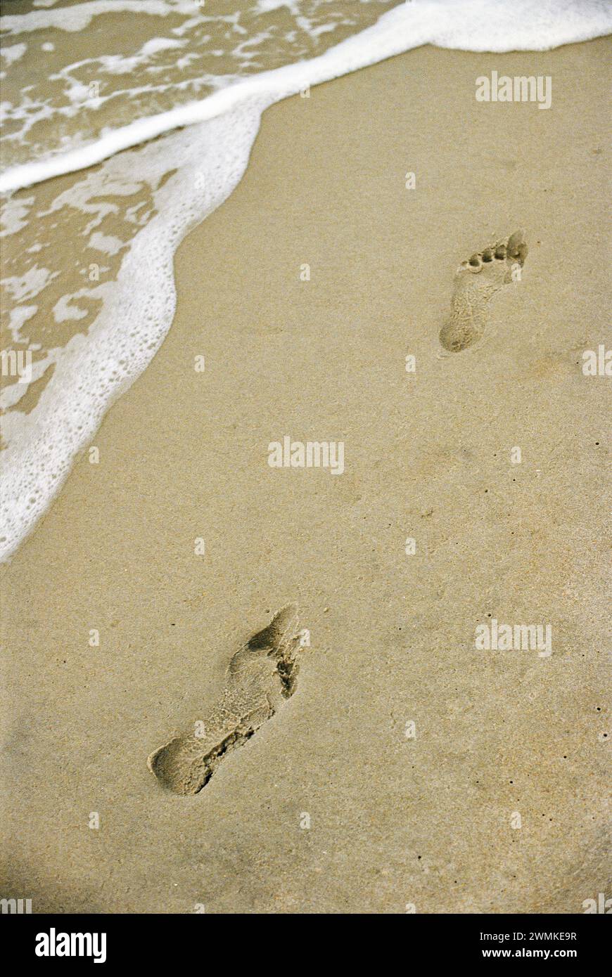 Footprints in the sand; Assateague Island, Virginia, United States of America Stock Photo