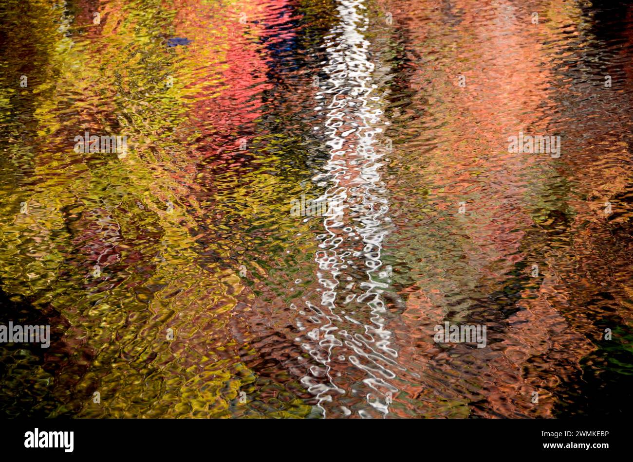 Autumn trees are reflected in the lake at Connemara in Carl Sandburg Home National Historic Site; North Carolina, United States of America Stock Photo