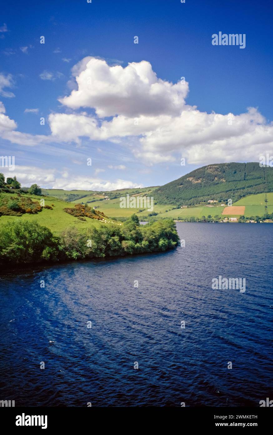 Lush green landscape with water and shoreline Stock Photo - Alamy