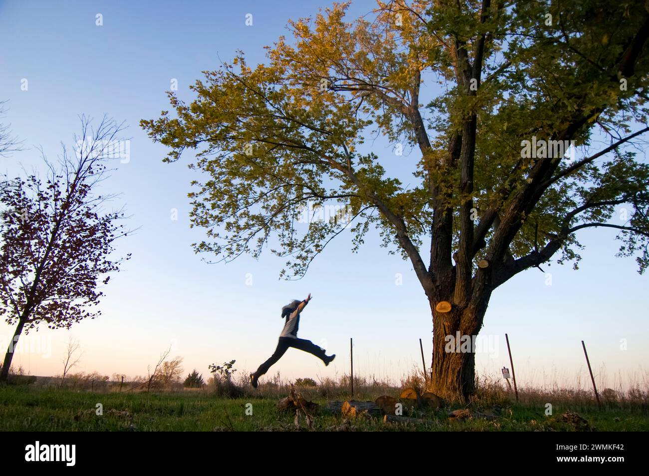 Girl runs in the outdoors with arms raised, a nature-lover; Princeton, Nebraska, United States of America Stock Photo