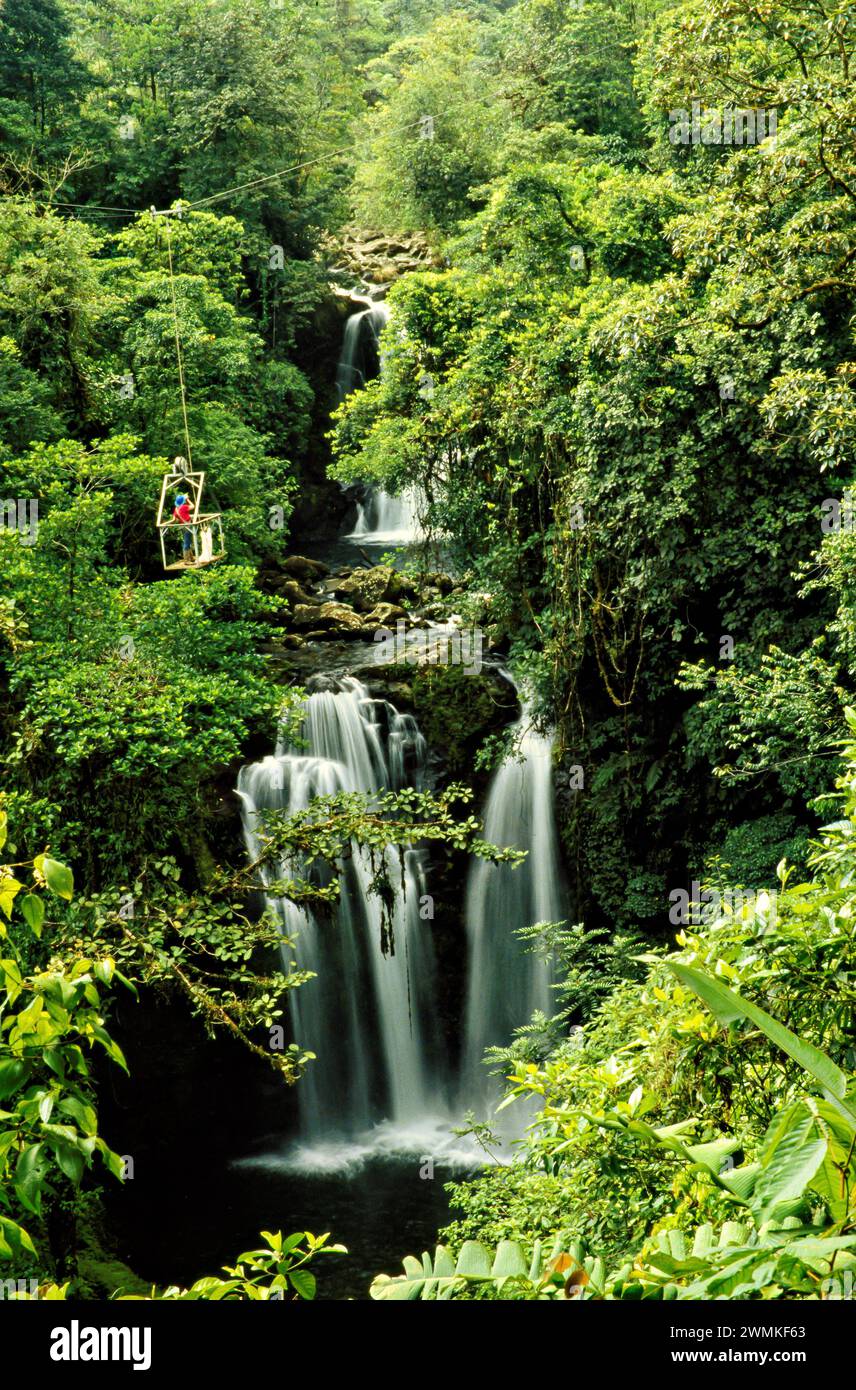 Biologist uses an aerial tramway to survey the forest canopy in Costa ...