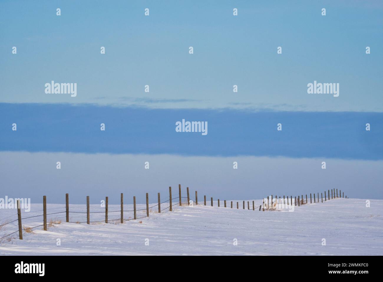 Wintery landscape in rural Saskatchewan with a fence leading off into the distance; Assiniboia, Saskatchewan, Canada Stock Photo