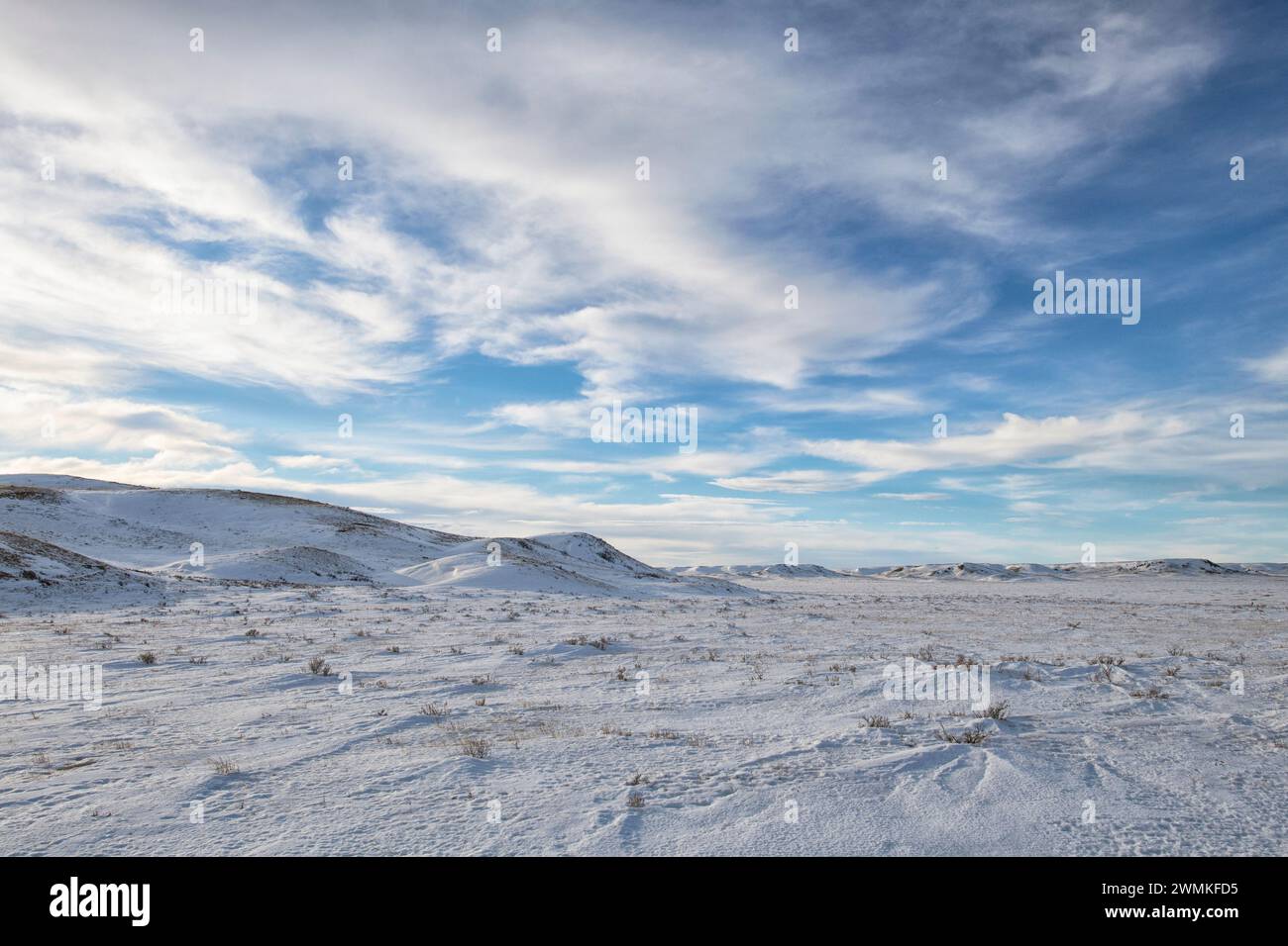 Winter landscape in Grasslands National Park, Saskatchewan; Val Marie, Saskatchewan, Canada Stock Photo