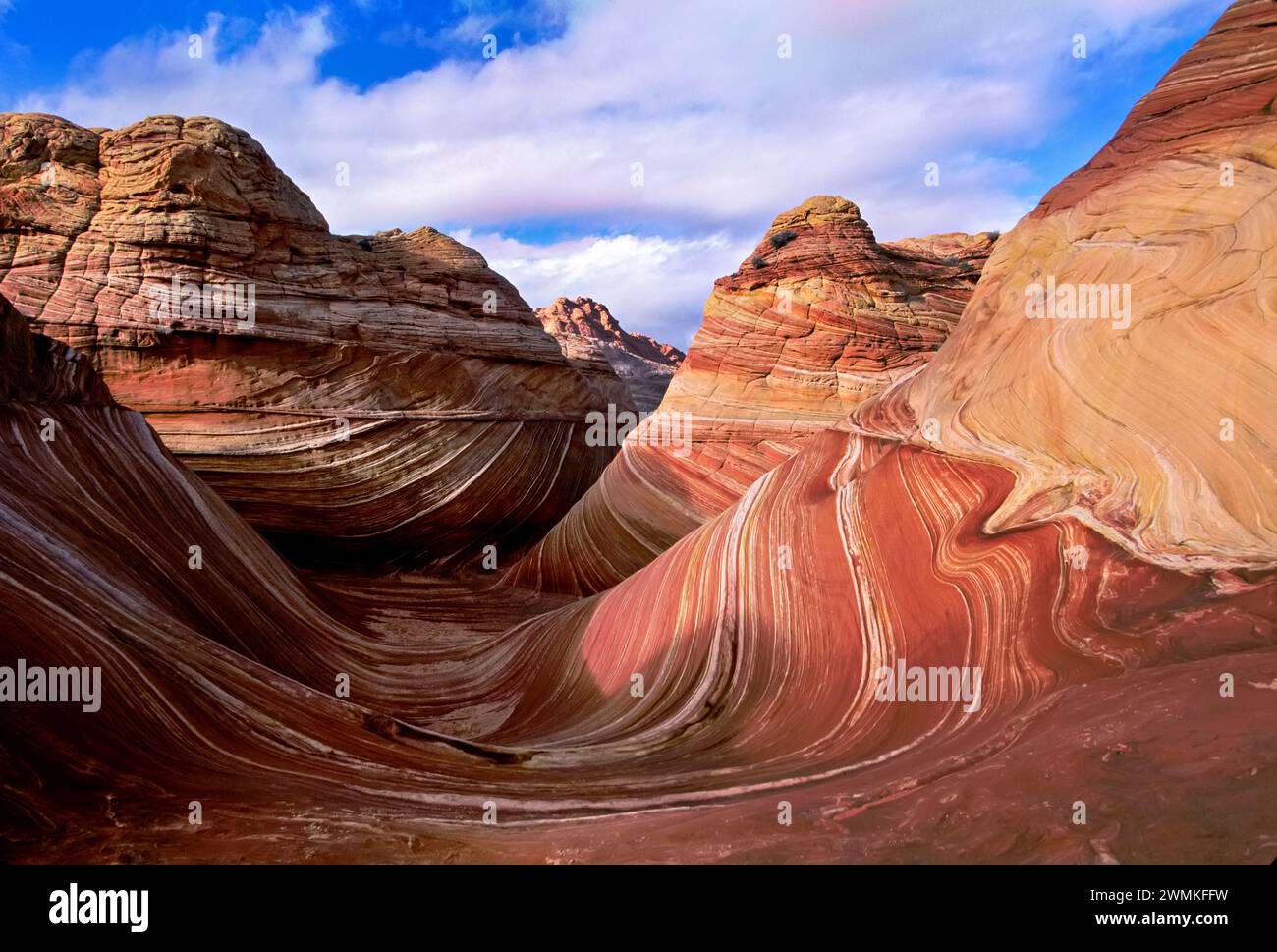 Spectacular formation of vibrant colors in swirls of fragile sandstone is known as The Wave and is located in the Coyote Buttes section of Vermilio... Stock Photo