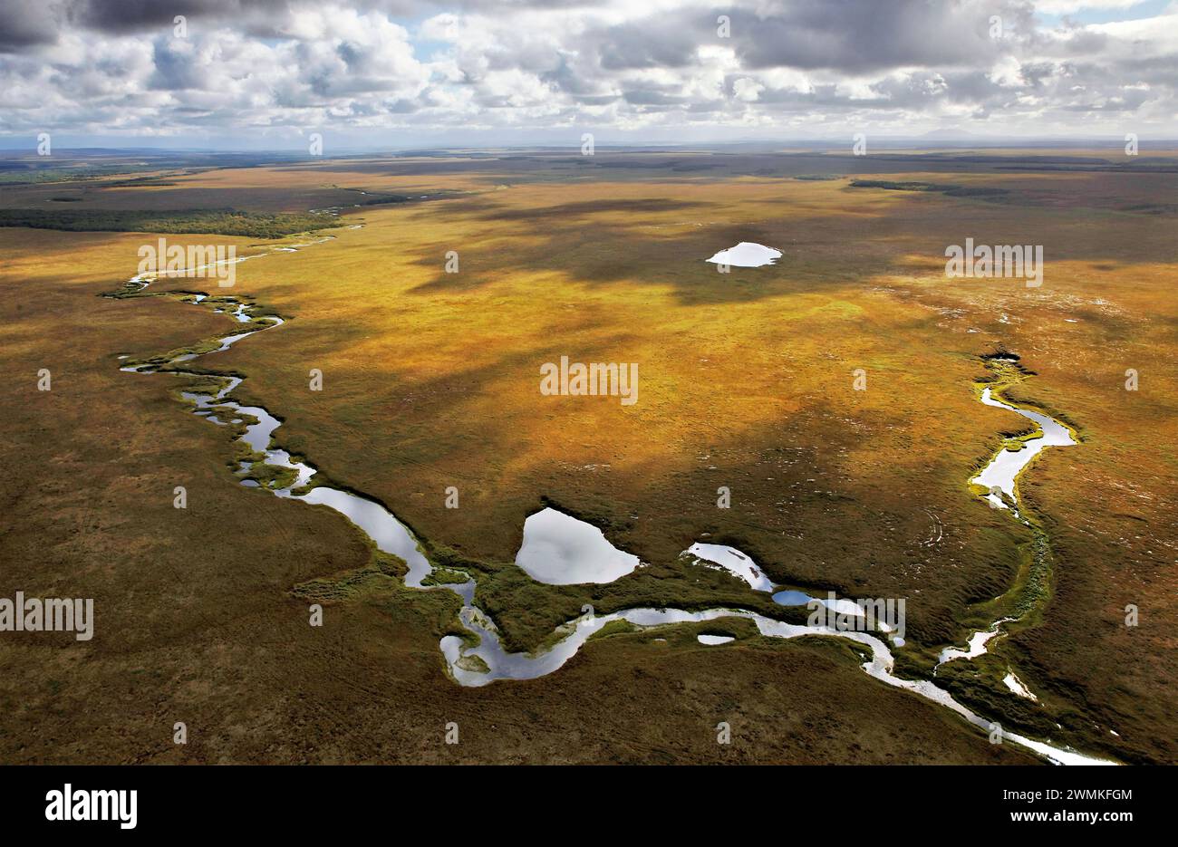 Braided river ecosystem snakes through the tundra and is used by salmon spawning.  Salmon bring marine-derived nutrients from the Kamchatka shelf i... Stock Photo