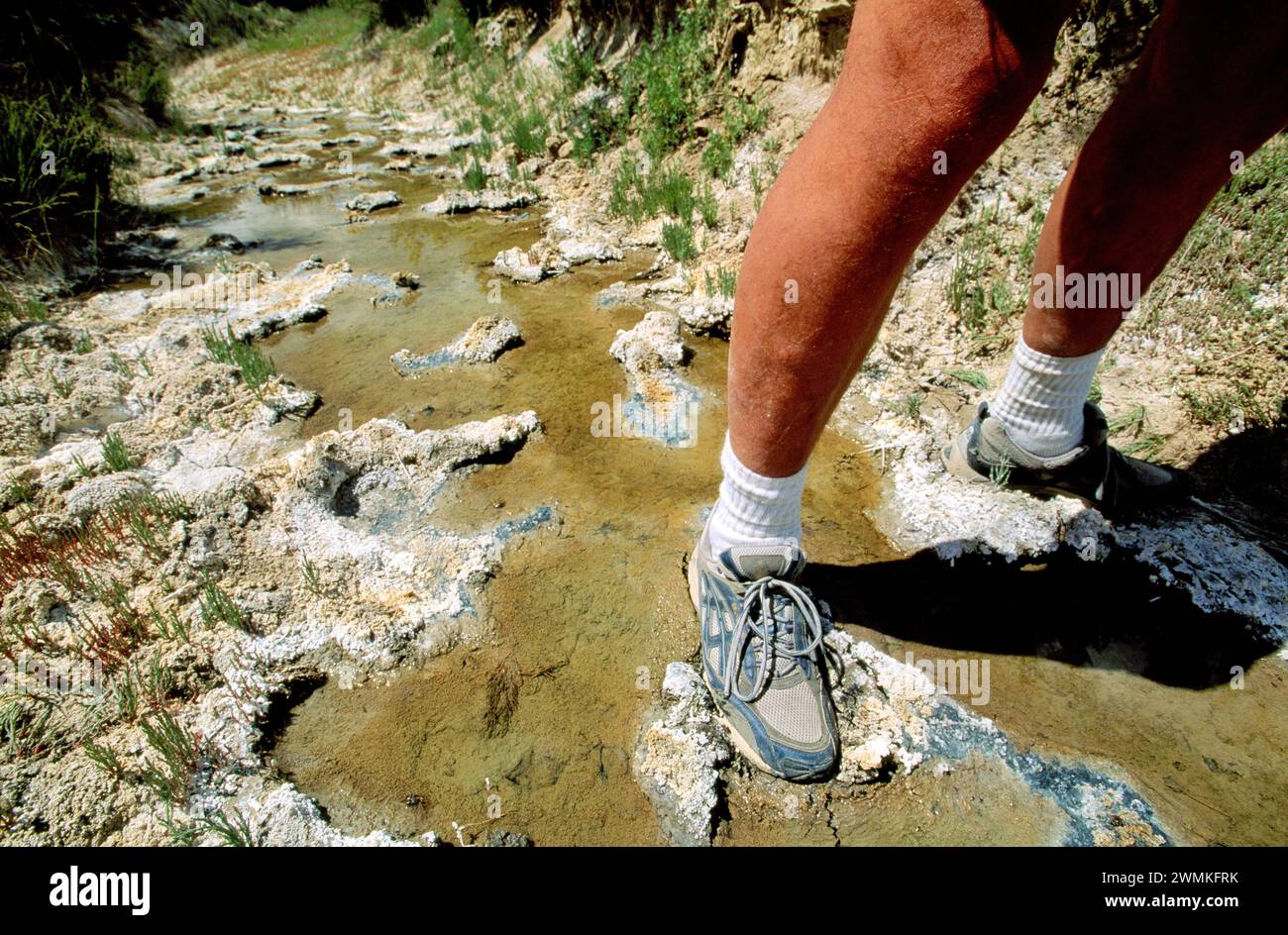 Man stands in a polluted stream; Wyoming, United States of America Stock Photo